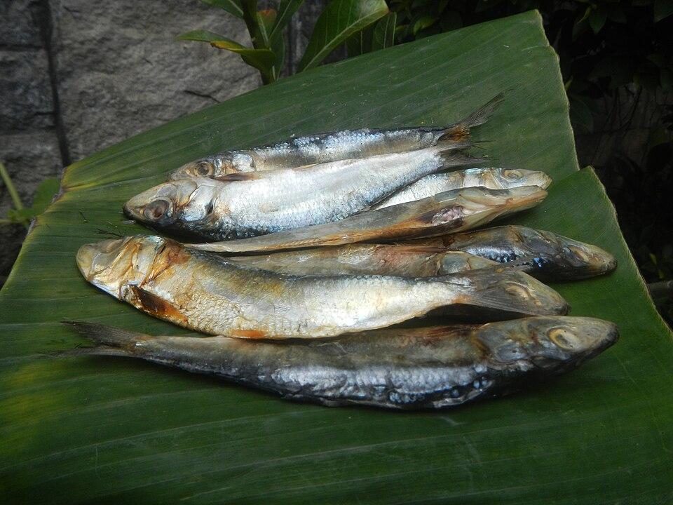 Banica Dried Tabagak
