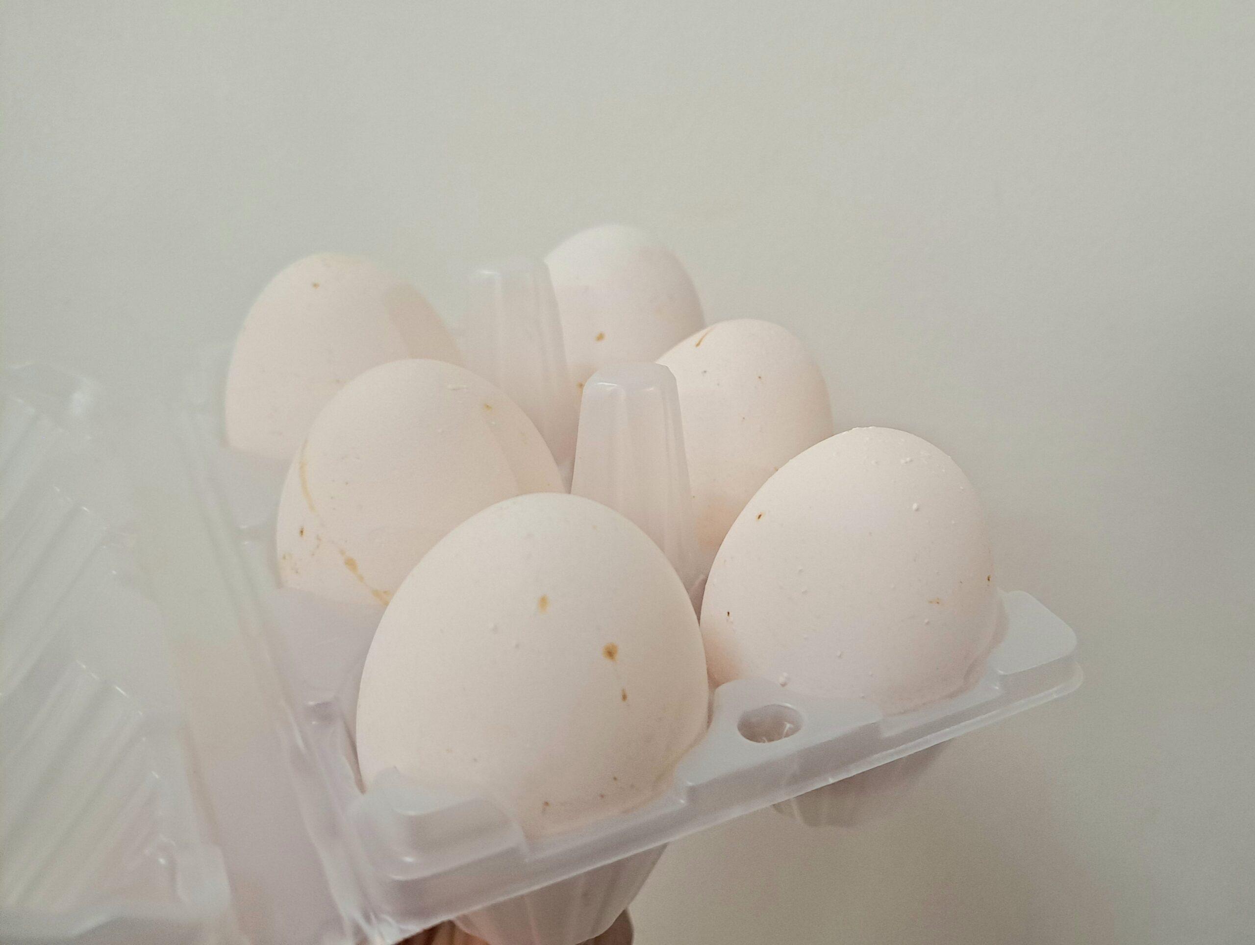 Chicken Eggs