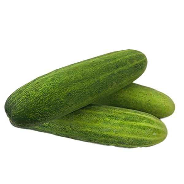 Cucumber – 1kg