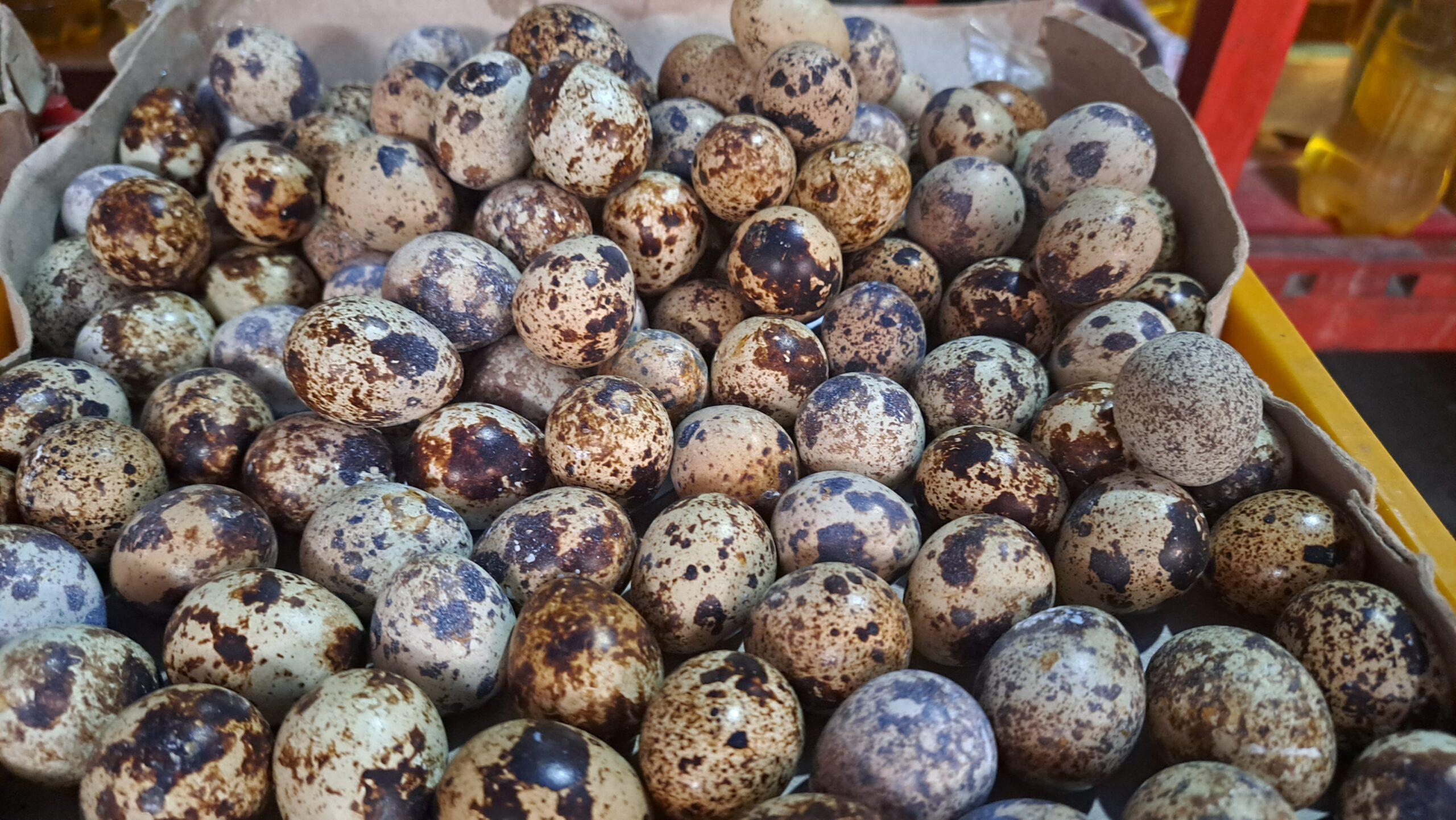 Quail Eggs
