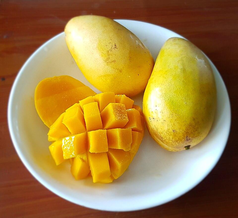 Guimaras Wonders Carabao Mangoes