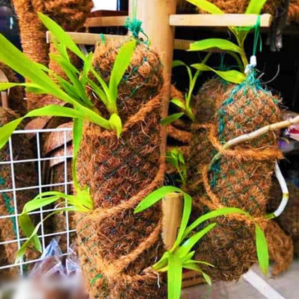 Custom Mix of Coco Coir/Peat and Fibers