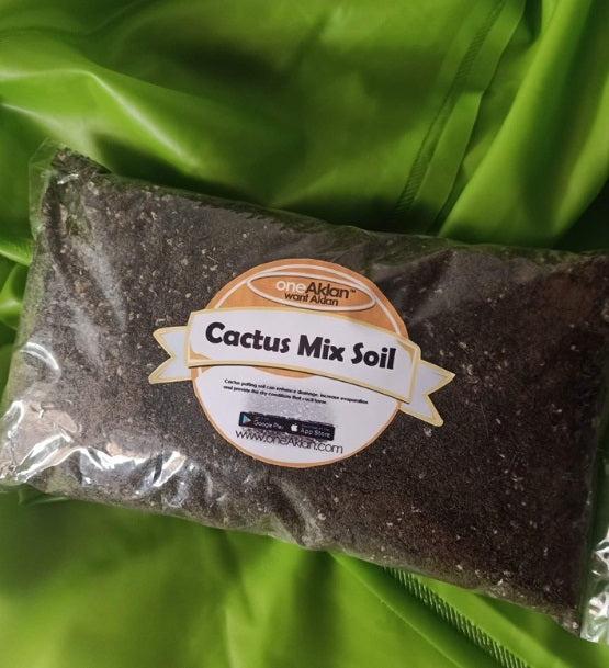 1kg Cactus Mix Soil - High Quality