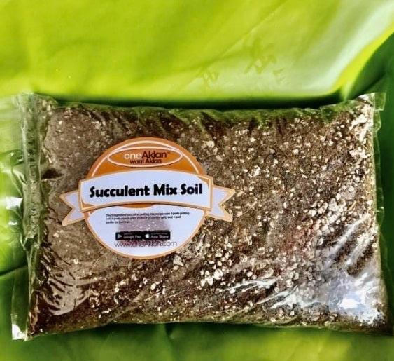 1kg Succulent Mix Soil - High Quality