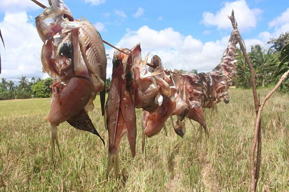 Pilar Dried Seafood