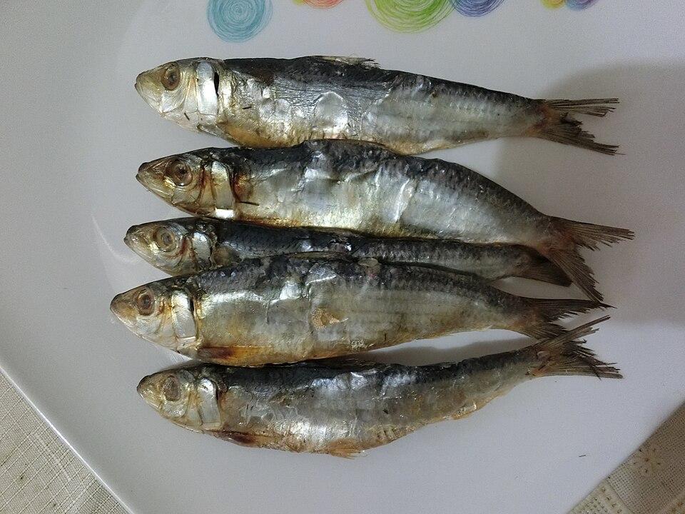 Tuyo de Capiz